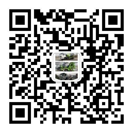 15賵,380,