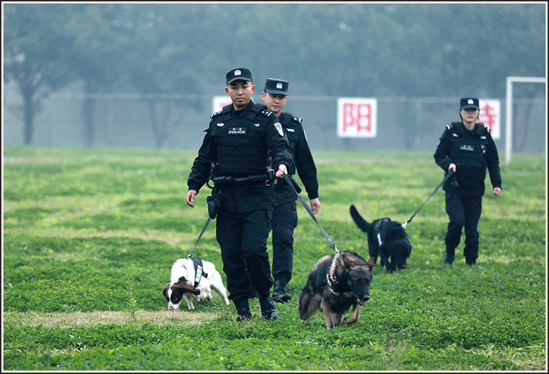 襄阳,特警,刘云,警犬 襄阳,特警,刘云,警犬