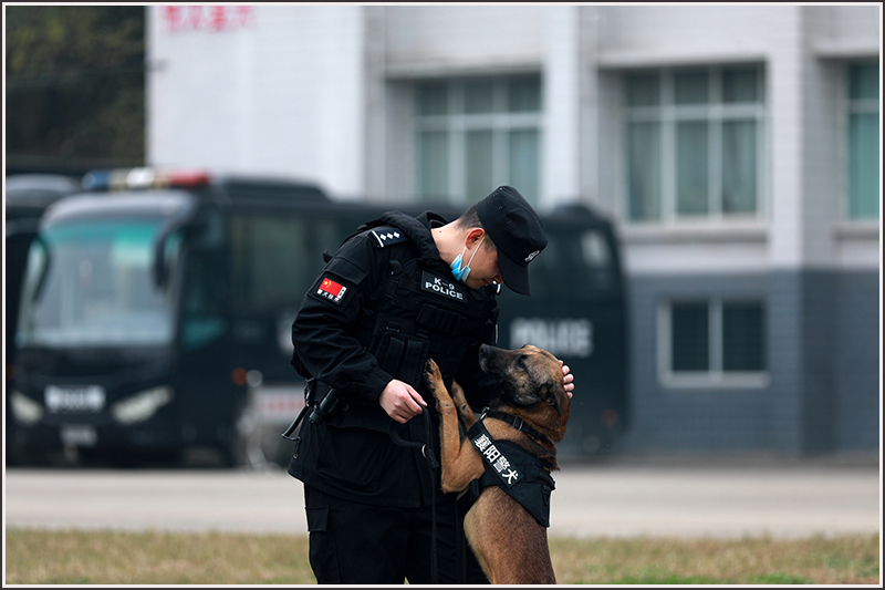 襄阳,特警,刘云,警犬 襄阳,特警,刘云,警犬
