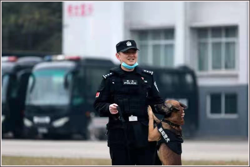 襄阳,特警,刘云,警犬 襄阳,特警,刘云,警犬
