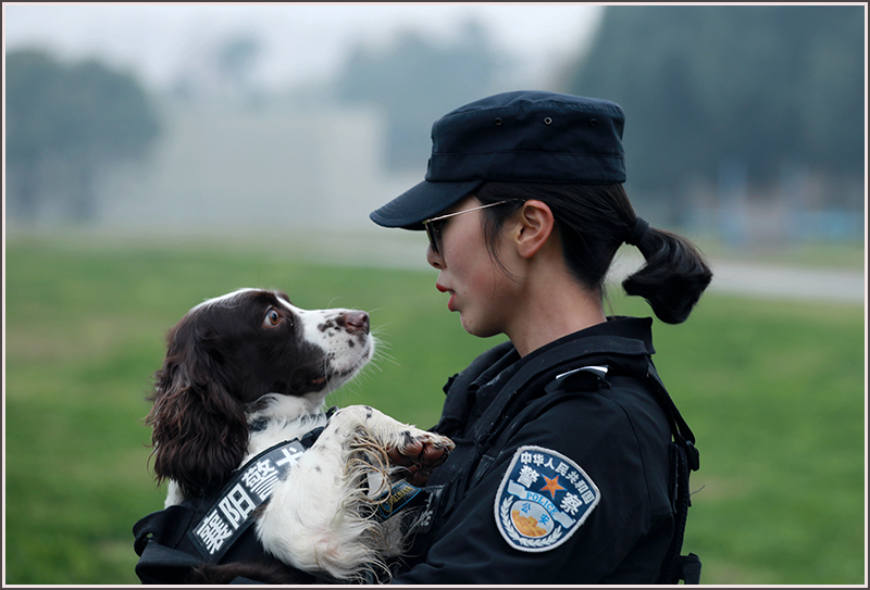 襄阳,特警,刘云,警犬 襄阳,特警,刘云,警犬