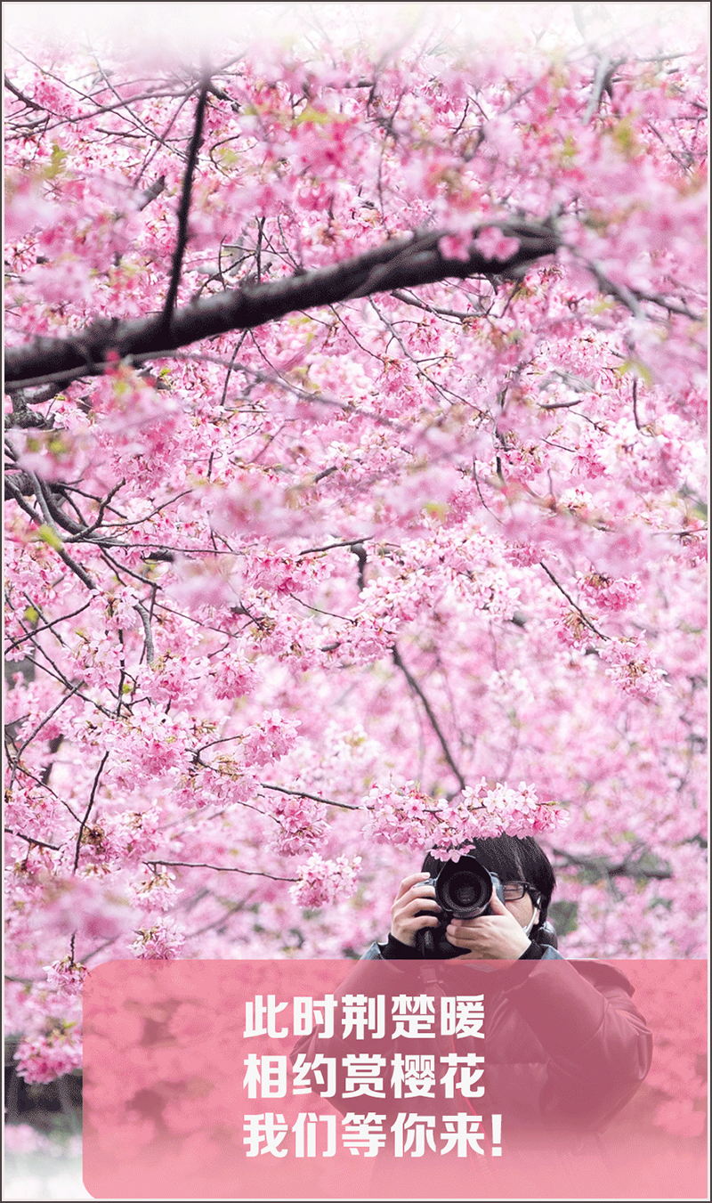 ʡ,ӣ,