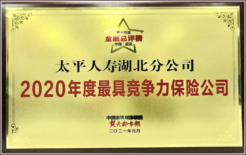 ̫ƽٺֹ˾2020߾չ˾